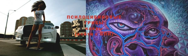 сатива Гусиноозёрск