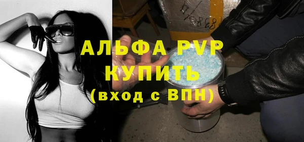 сатива Гусиноозёрск