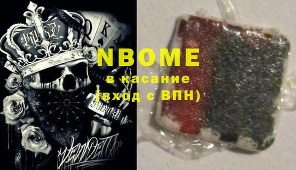 сатива Гусиноозёрск