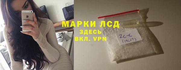 сатива Гусиноозёрск