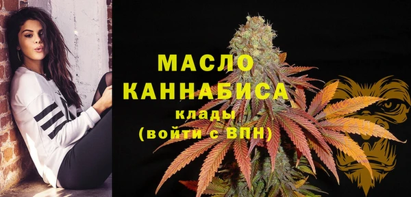 сатива Гусиноозёрск