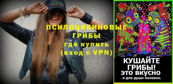 сатива Гусиноозёрск