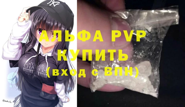 СК Гусев