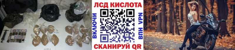 LSD-25 экстази ecstasy  наркошоп  Красный Холм 